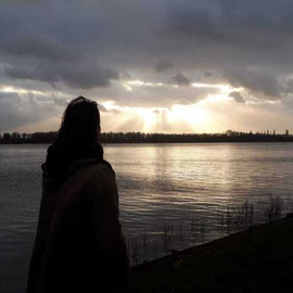 Matthijs van der Wild